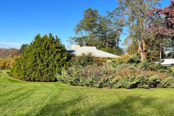 Gillotti Rd Renovation